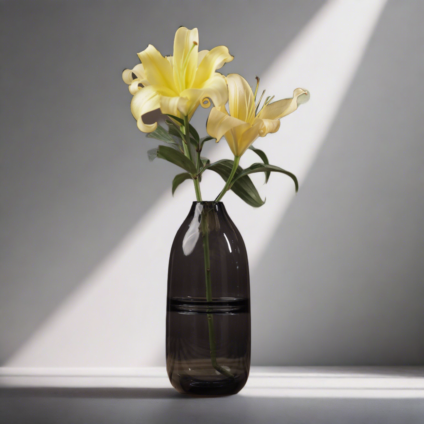 Animus Black Shaded Glass Vase (Large)
