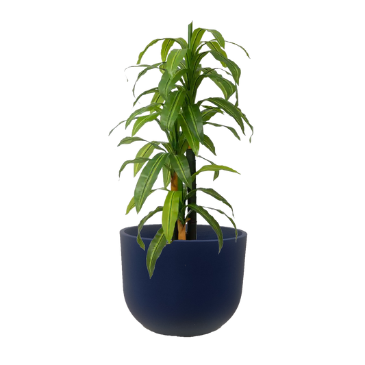 Round Concrete Garden Planter