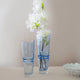 Animus Blue Glass vases (Set of 2)