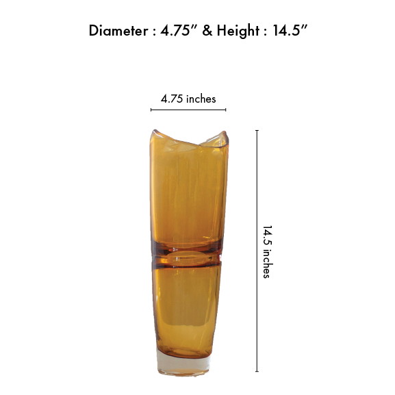 Animus Yellow Glass vases (Set of 2)