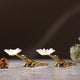 Animal Decor Crystal Brass sculpture (set of 2)