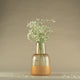 Valgur Peach Bottle Glass Vase