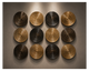 ROOTED FORM - Growth Rings Wall Art