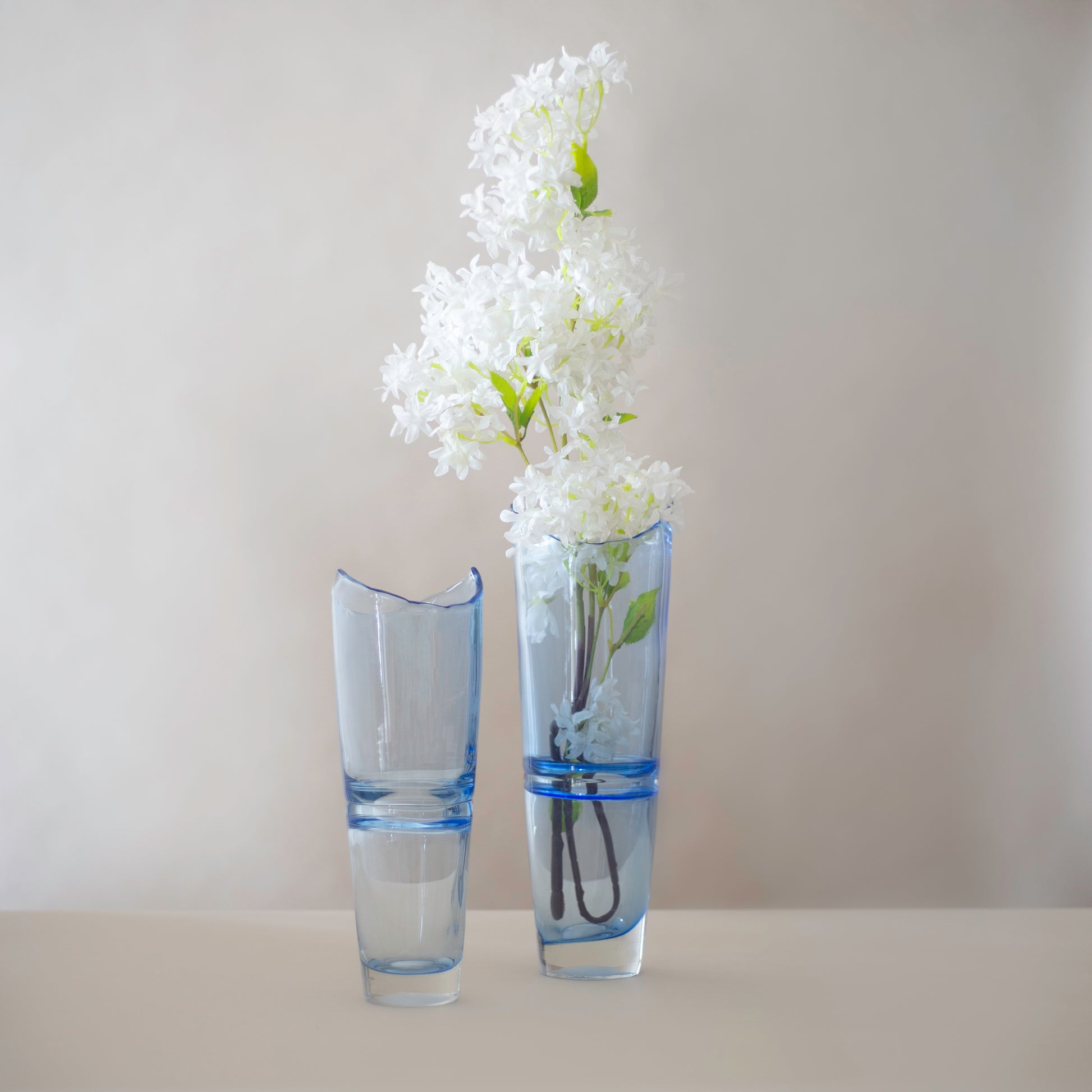 Animus Blue Glass vases (Set of 2)