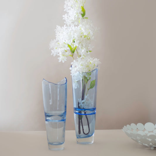 Animus Blue Glass vases (Set of 2)