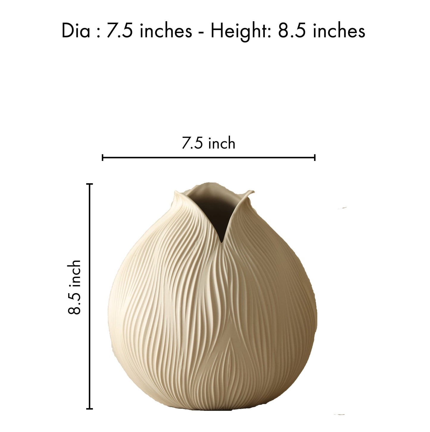 Ammil Living Room Cream Vase