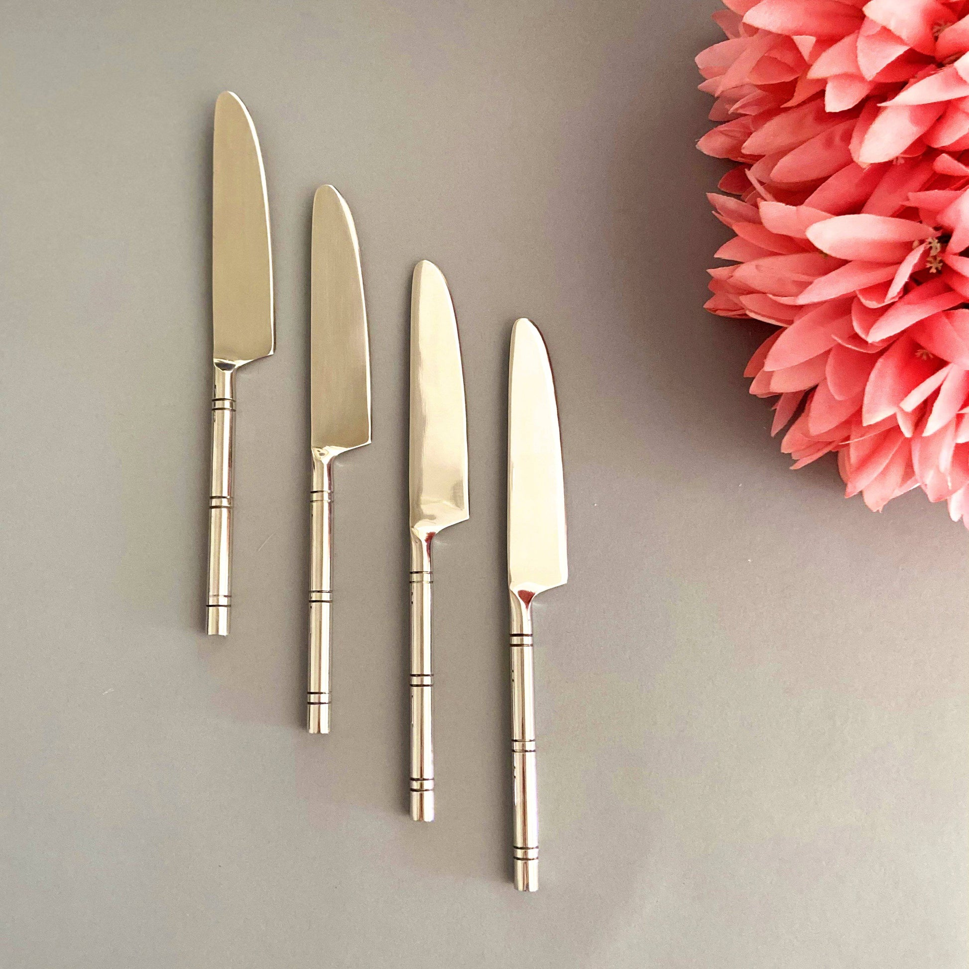 Modern Glossy Dinner Knives set of 4