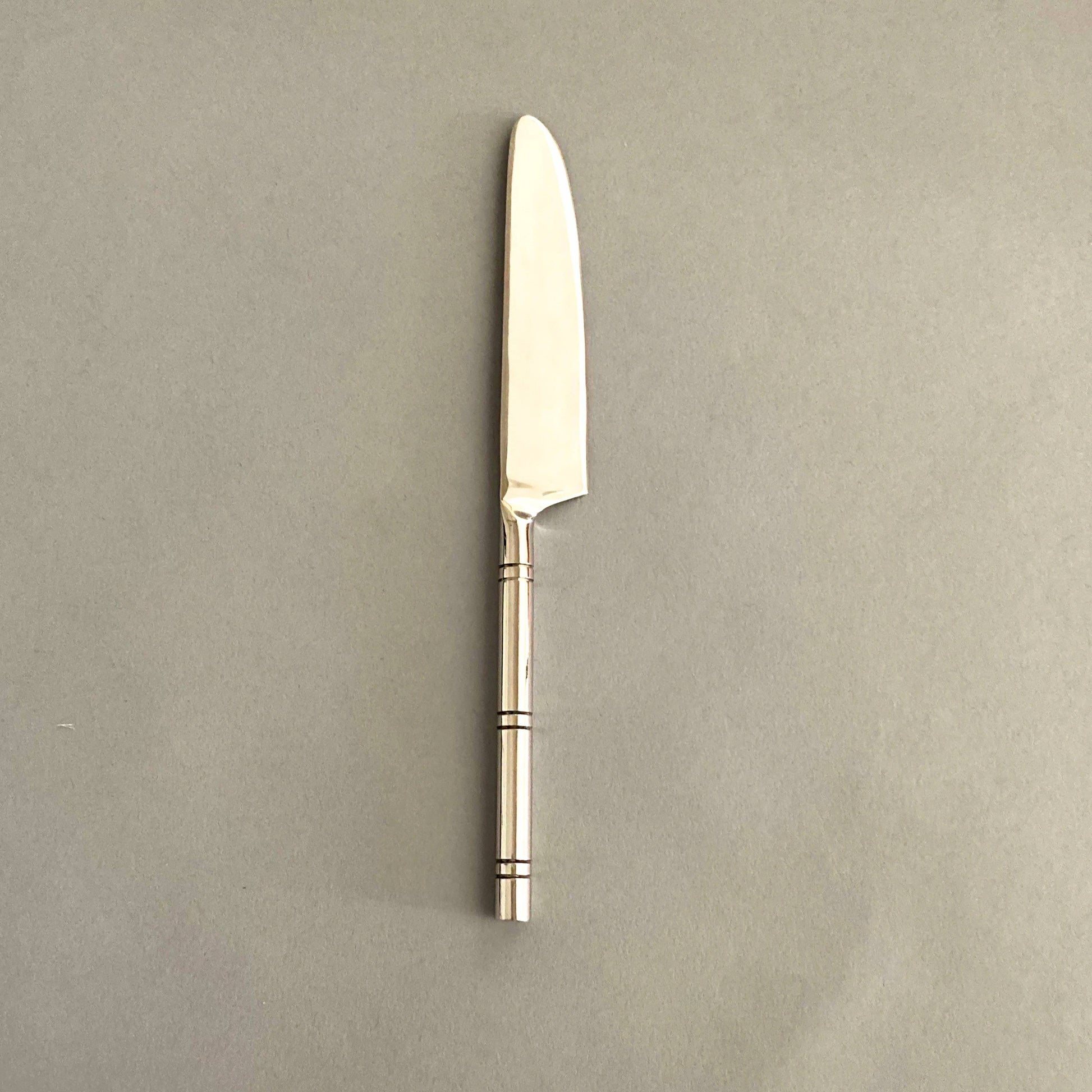 Modern Glossy Dinner Knives set of 4