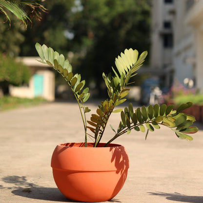 Garden Concrete Terracotta Round Planter - The Decor Circle